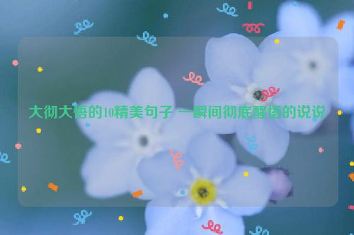 大彻大悟的10精美句子 一瞬间彻底醒悟的说说