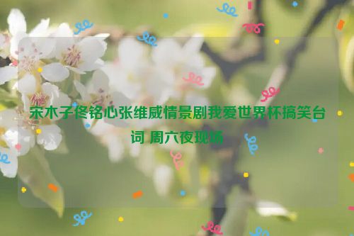 宋木子佟铭心张维威情景剧我爱世界杯搞笑台词 周六夜现场