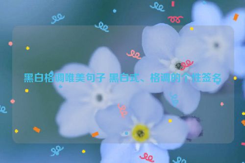 黑白格调唯美句子 黑白式、格调的个性签名